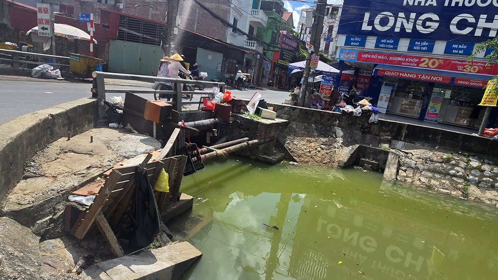 Mương Hồ Sen ở Hải Phòng ô nhiễm nghiêm trọng, ảnh hưởng hàng trăm hộ dân - ảnh 2
