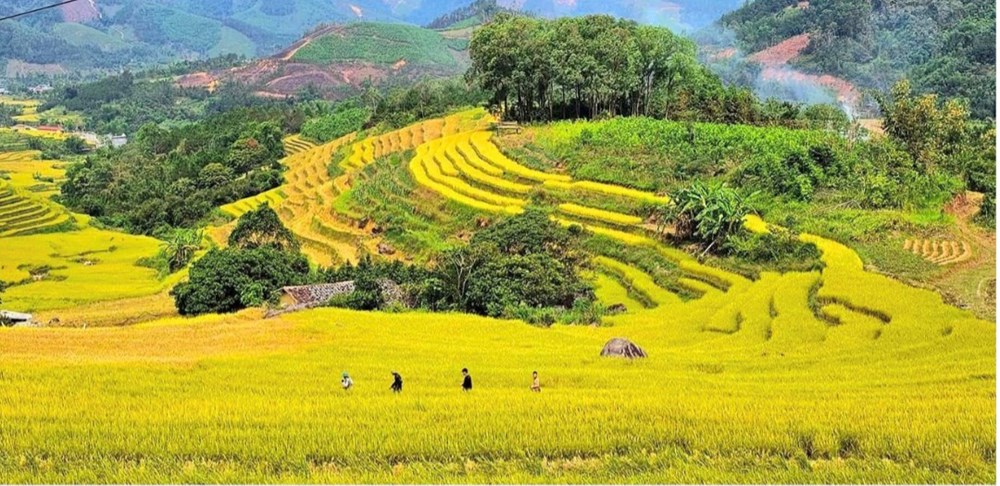 Hội Mùa vàng xã Lục Hồn hứa hẹn nhiều trải nghiệm hấp dẫn - ảnh 1