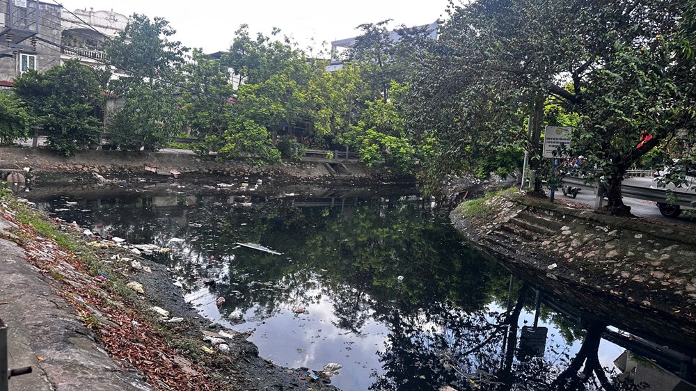 Mương Hồ Sen ở Hải Phòng ô nhiễm nghiêm trọng, ảnh hưởng hàng trăm hộ dân - ảnh 1