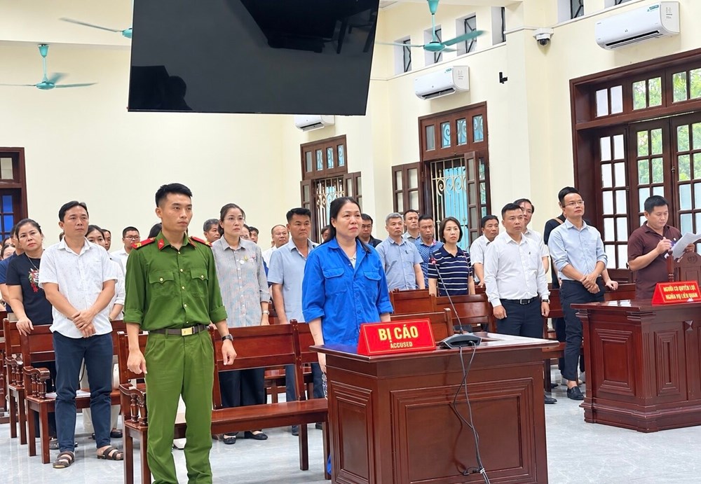 Chiếm đoạt hơn 277 tỉ, giám đốc một doanh nghiệp bị án tù chung thân - ảnh 1