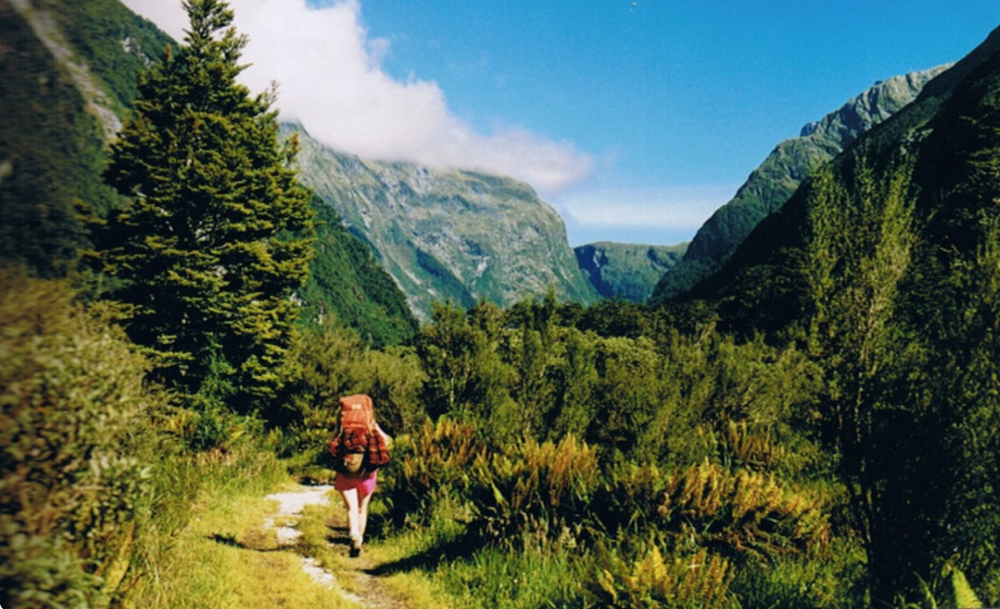 New Zealand: Sẽ áp dụng thu phí đối với du khách nước ngoài - ảnh 1