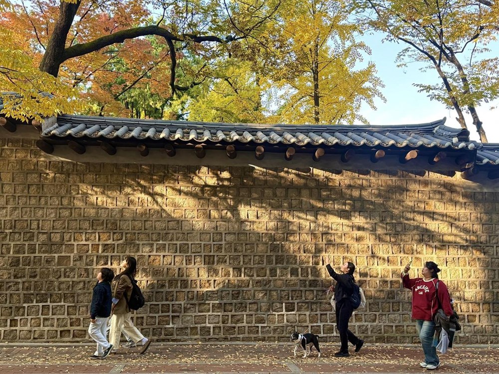 Bức tường đá Deoksu và cuộc chiến bảo tồn di sản - ảnh 1