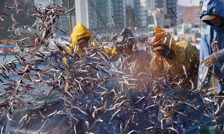 Lao động tay nghề cao ở Hàn Quốc lương trên 2.000 USD - ảnh 1