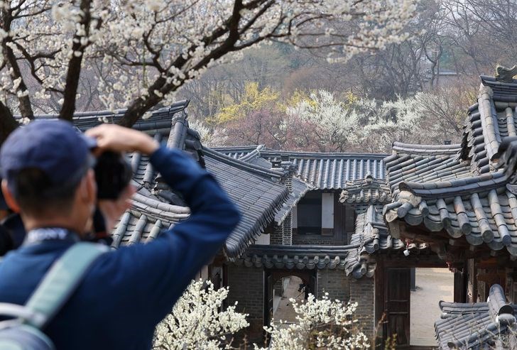 Khám phá Changdeokgung: Khi lịch sử hòa cùng thiên nhiên - ảnh 1