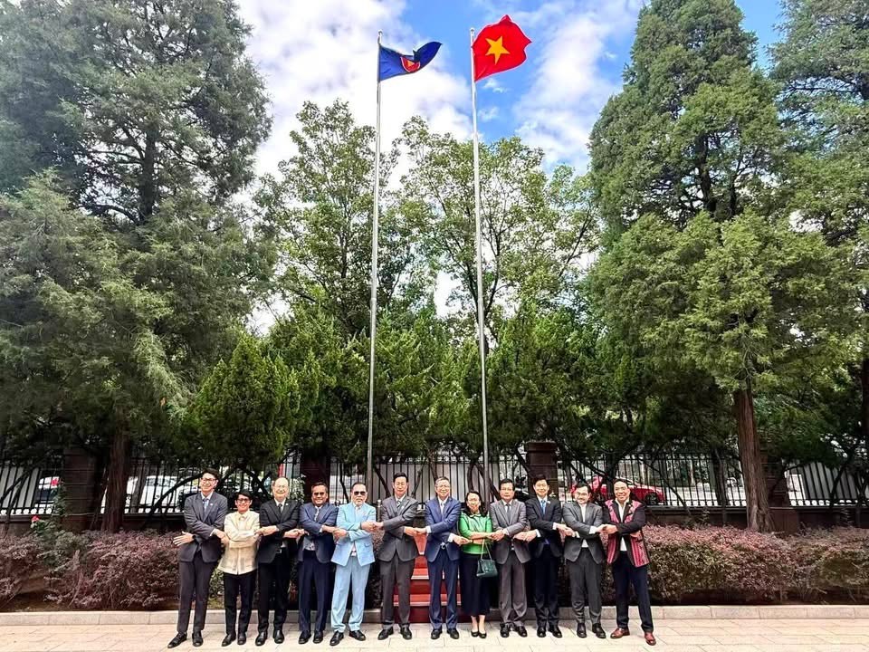 Việt Nam tổ chức hoạt động kỷ niệm Ngày thành lập ASEAN tại Bắc Kinh - ảnh 1