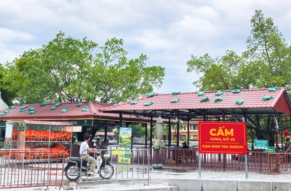 Ninh Bình trong mọi tình huống phương châm “4 tại chỗ” phải được đảm bảo - ảnh 2
