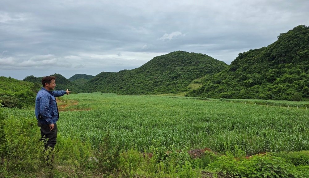 Ninh Bình: Một doanh nghiệp bị thu hồi 64,8ha đất do vi phạm về đất đai - ảnh 1