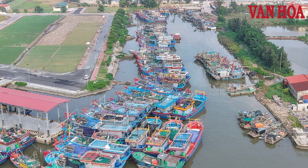 Ninh Bình: Tàu thuyền nối đuôi nhau vào cảng tránh siêu bão Ragasa - ảnh 1