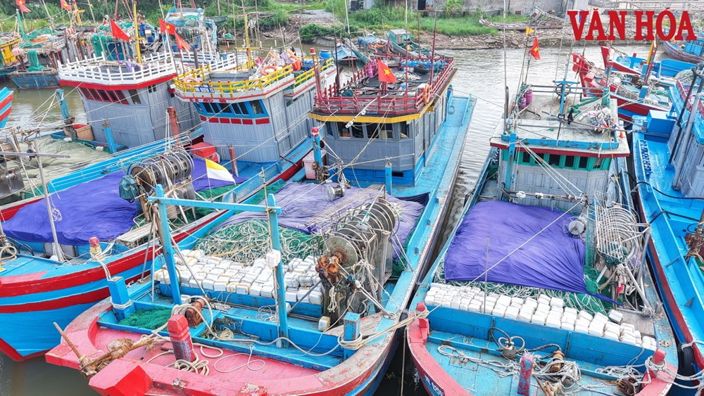 Ninh Bình: Tàu thuyền nối đuôi nhau vào cảng tránh siêu bão Ragasa - ảnh 2