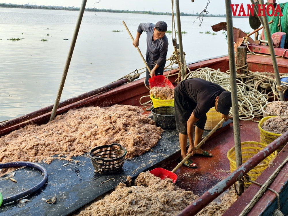 Ninh Bình: Tàu thuyền nối đuôi nhau vào cảng tránh siêu bão Ragasa - ảnh 3