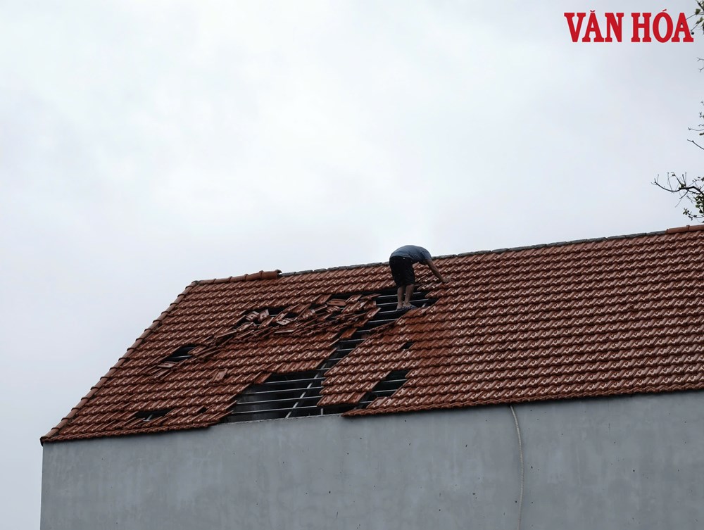 Ninh Bình: Tập trung khắc phục hậu quả bão số 10 - ảnh 2