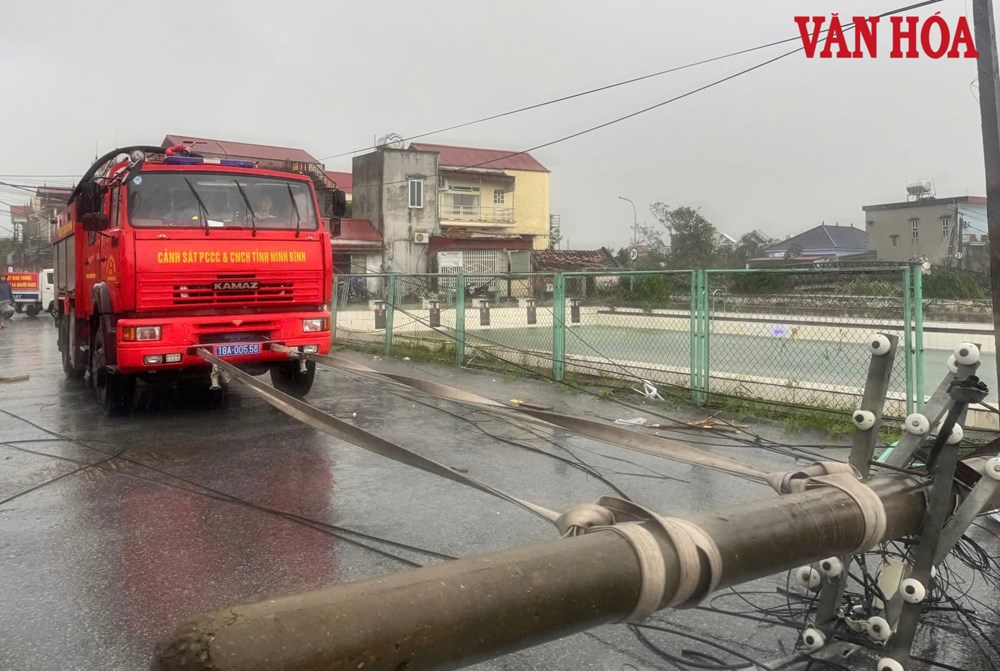Ninh Bình: Tập trung khắc phục hậu quả bão số 10 - ảnh 3