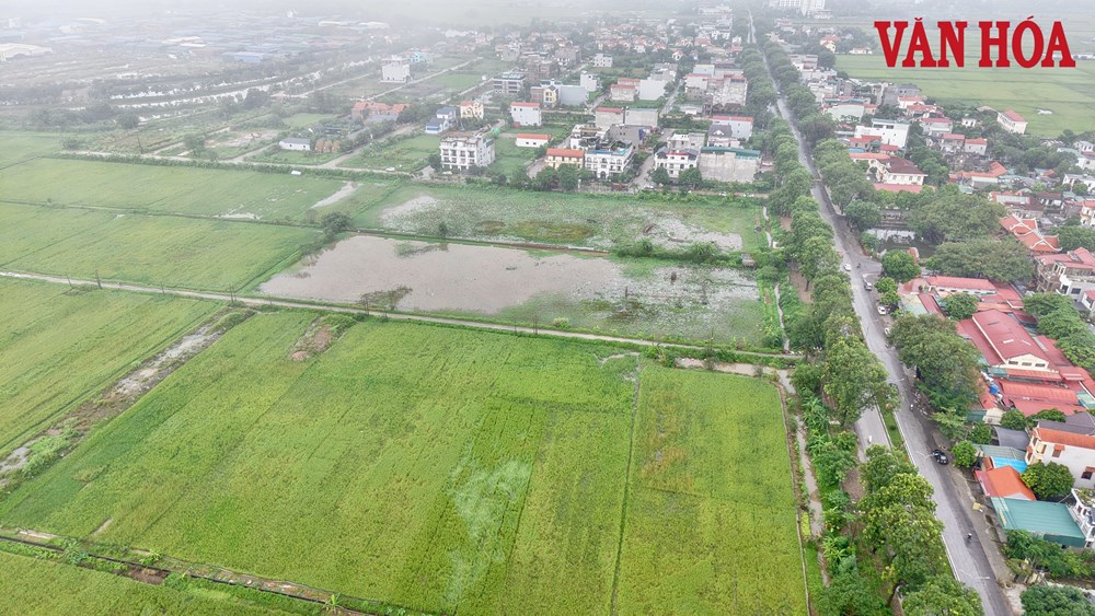 Ninh Bình: Cưỡng chế kiểm đếm 61 hộ dân để xây dựng Khu đô thị Ninh Thắng I - ảnh 3
