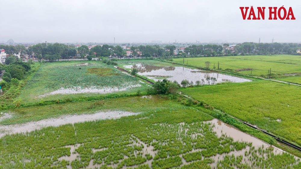 Ninh Bình: Cưỡng chế kiểm đếm 61 hộ dân để xây dựng Khu đô thị Ninh Thắng I - ảnh 2