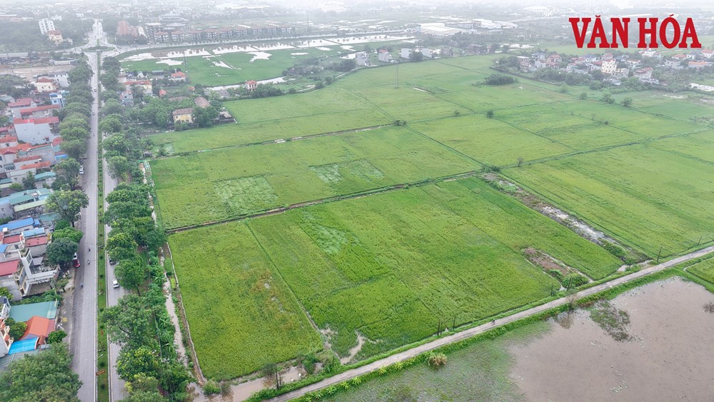 Ninh Bình: Cưỡng chế kiểm đếm 61 hộ dân để xây dựng Khu đô thị Ninh Thắng I - ảnh 1