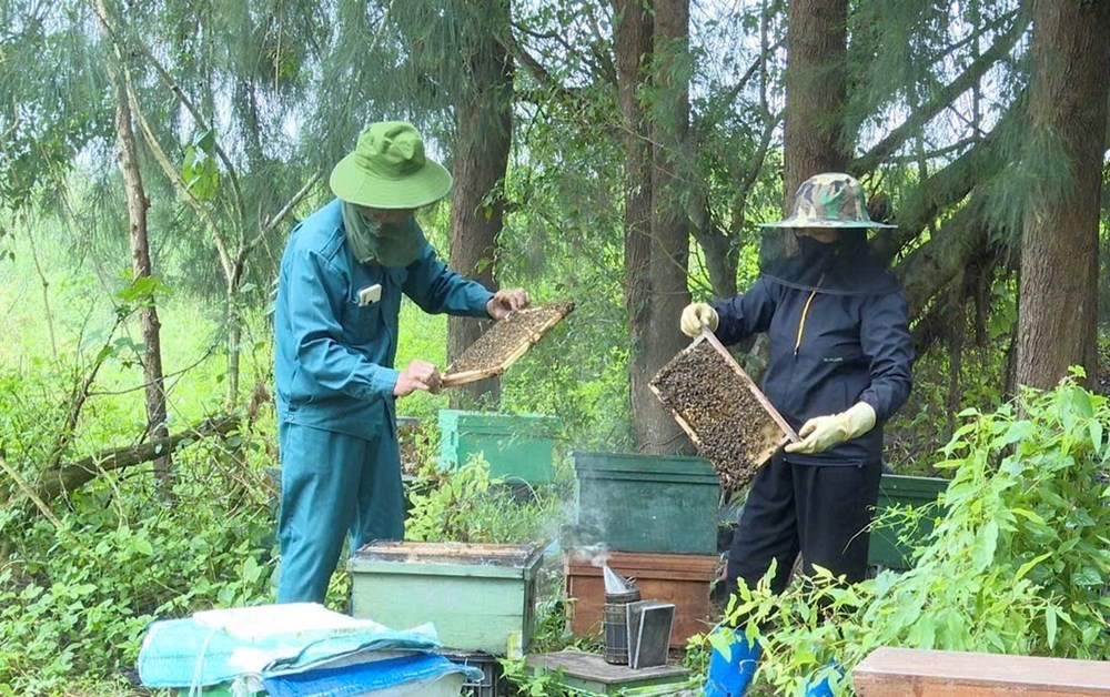 Truy xuất nguồn gốc điện tử: Giải pháp nâng cao giá trị nông sản - ảnh 1