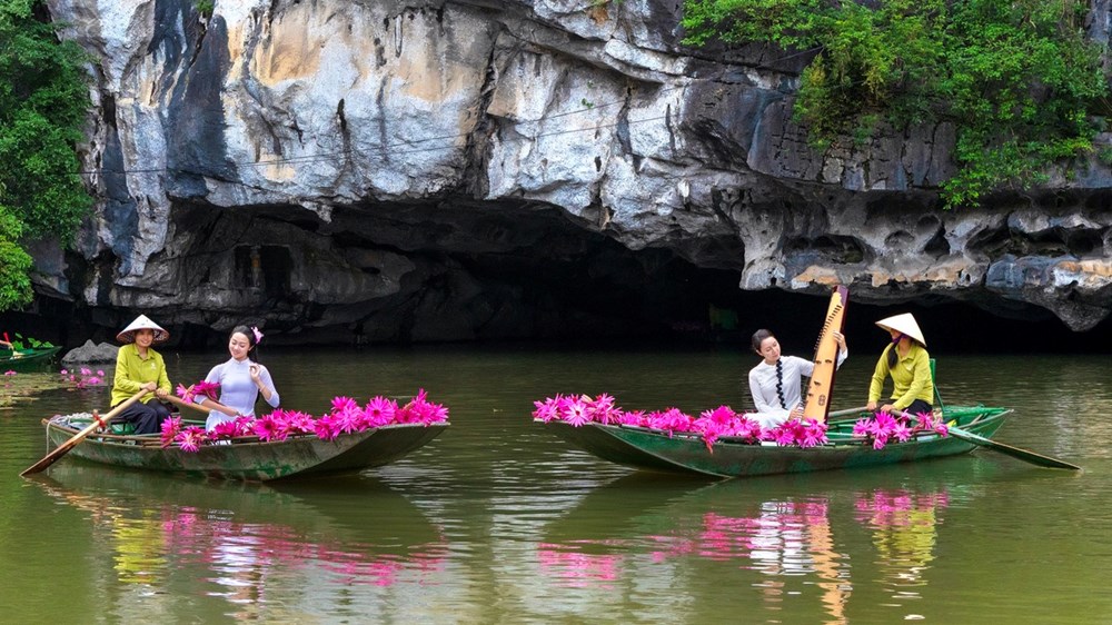 Ngắm nhìn hoa súng nhuộm hồng dòng Ngô Đồng ở Ninh Bình - ảnh 5