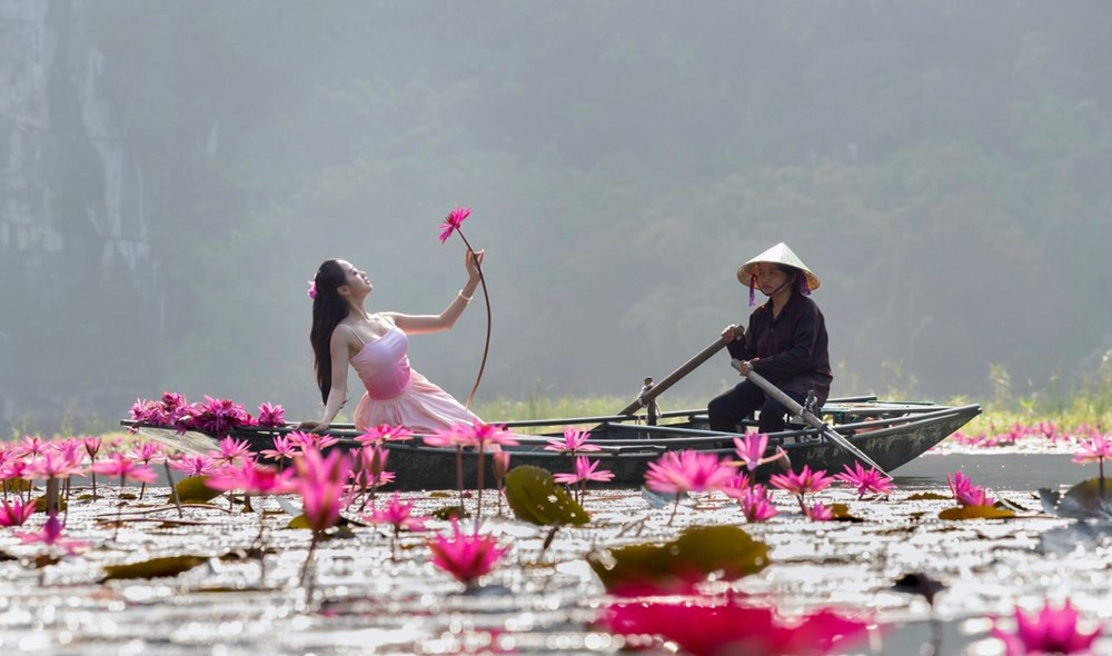 Ngắm nhìn hoa súng nhuộm hồng dòng Ngô Đồng ở Ninh Bình - ảnh 6