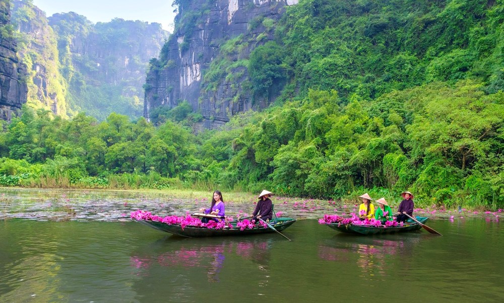 Ngắm nhìn hoa súng nhuộm hồng dòng Ngô Đồng ở Ninh Bình - ảnh 3