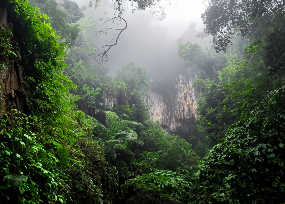 Khám phá tour xuyên rừng chinh phục “nóc nhà” Cúc Phương - ảnh 1