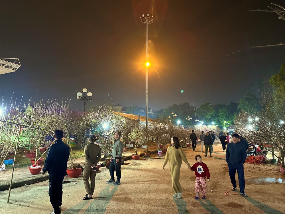 Mưa rét về đêm không làm giảm “sức nóng” chợ hoa Xuân Hoa Lư - ảnh 1