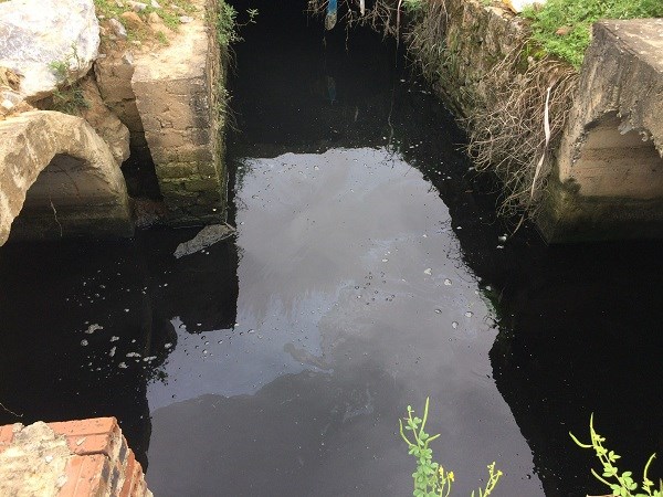 Ninh Bình: Xả thải trái phép, một công ty bị xử phạt 300 triệu đồng - ảnh 1