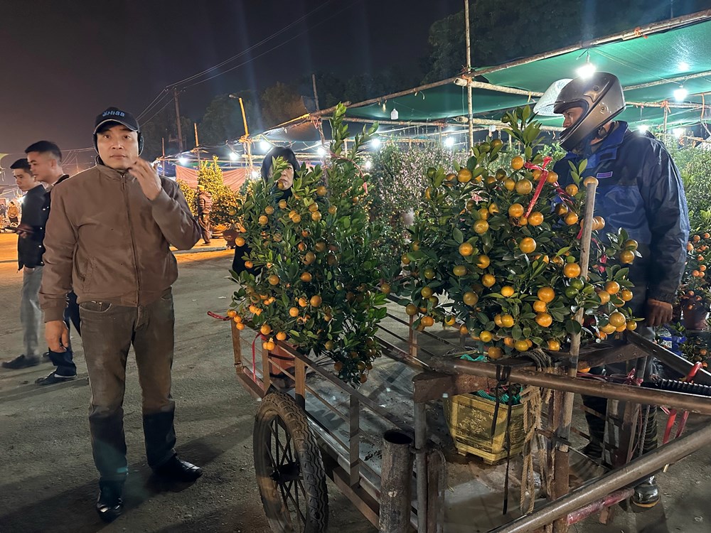 Mưa rét về đêm không làm giảm “sức nóng” chợ hoa Xuân Hoa Lư - ảnh 3