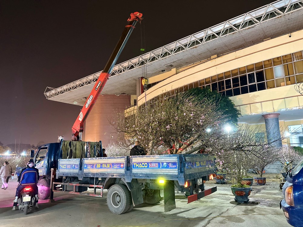 Mưa rét về đêm không làm giảm “sức nóng” chợ hoa Xuân Hoa Lư - ảnh 4