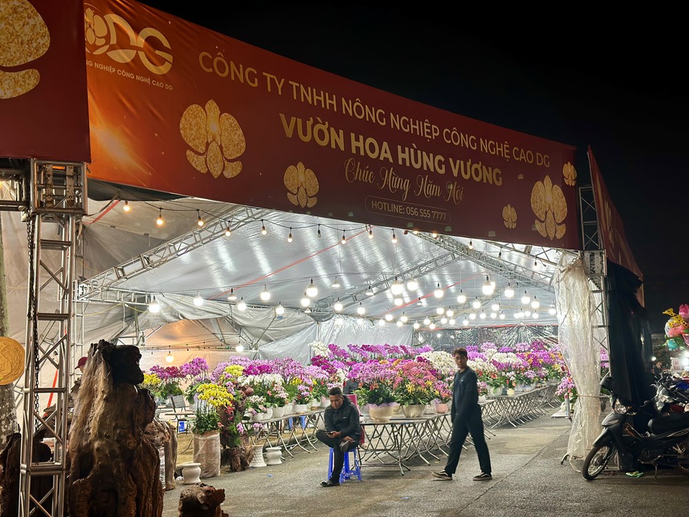 Mưa rét về đêm không làm giảm “sức nóng” chợ hoa Xuân Hoa Lư - ảnh 9