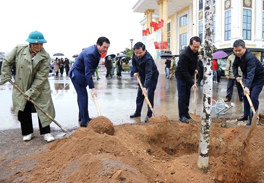 Ninh Bình phát động Tết trồng cây Xuân Bính Ngọ  - ảnh 1