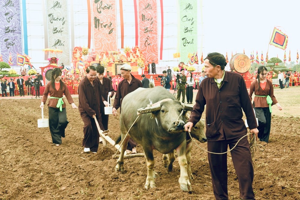 Khai hội Tịch điền Đọi Sơn Xuân Bính Ngọ 2026 - ảnh 2