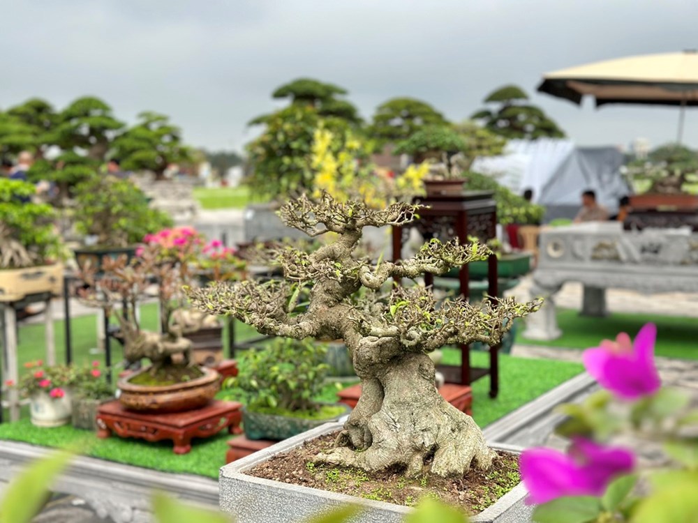 Các hoạt động đặc sắc tại Lễ hội Khai ấn đền Trần 2026 - ảnh 1