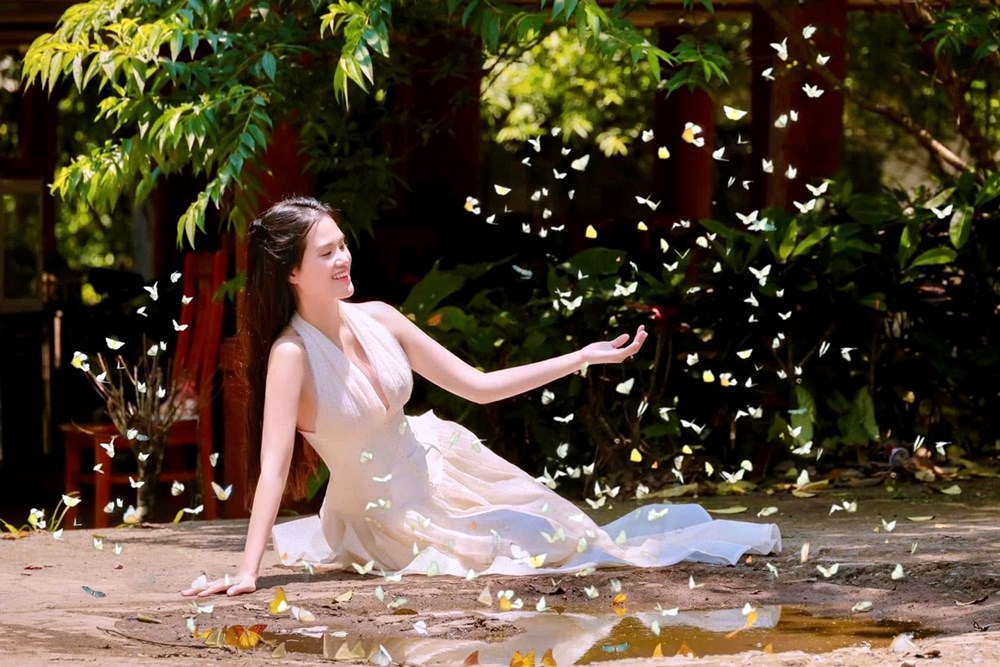 Rực rỡ mùa bướm rừng Cúc Phương - ảnh 3