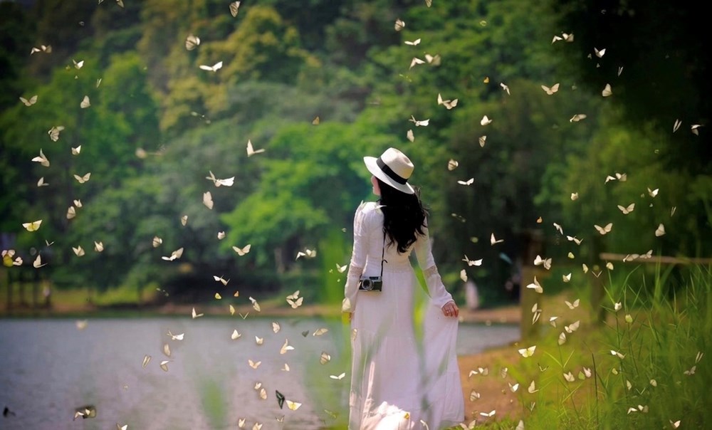 Rực rỡ mùa bướm rừng Cúc Phương - ảnh 4