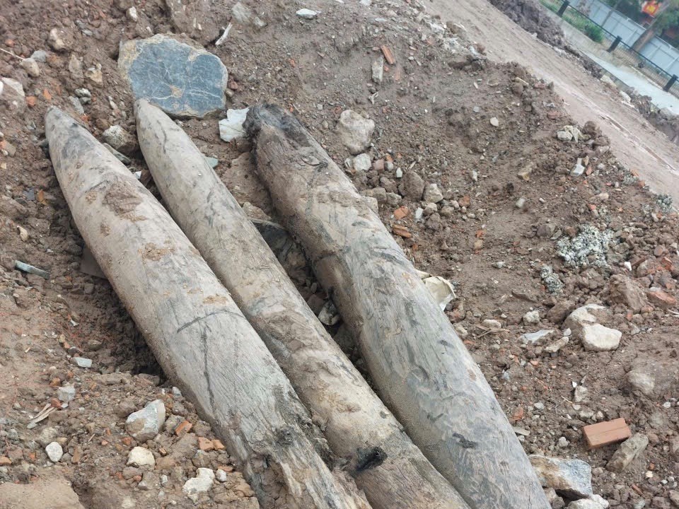 Ninh Bình: Phát lộ 3 cọc gỗ cổ, nghi vấn trận địa phòng thủ thời Trần - ảnh 3