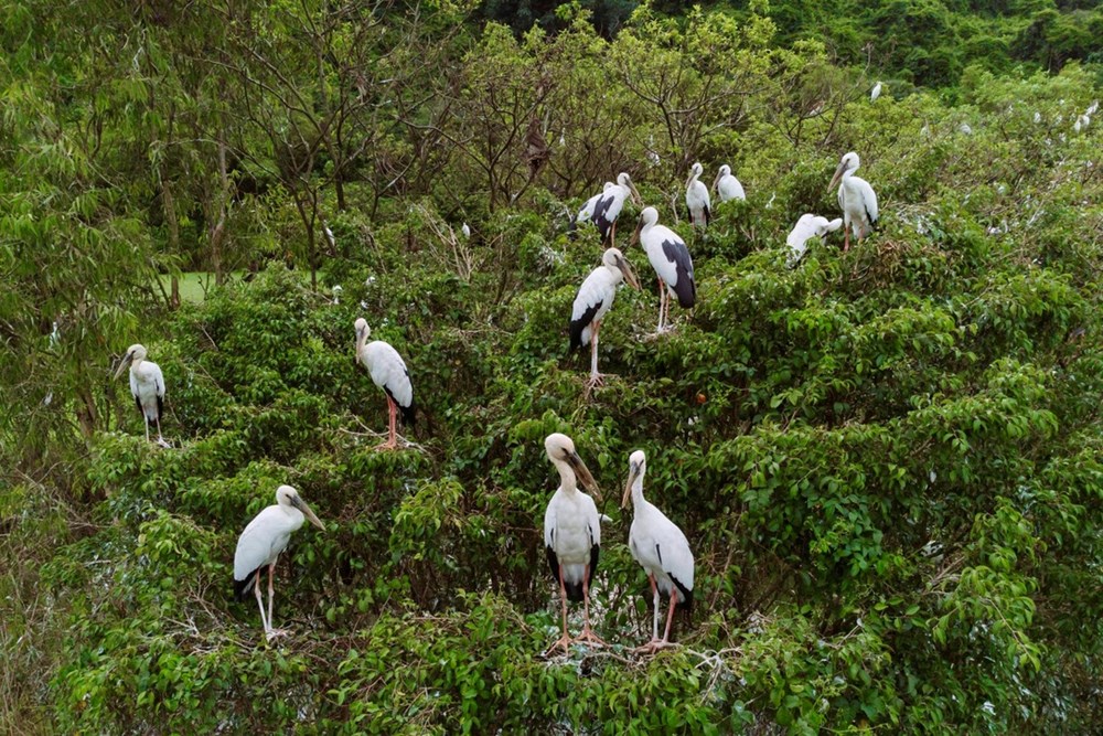Chủ đầu tư lên tiếng về tin đồn bán Khu du lịch Thung Nham giá tỉ đô - ảnh 3