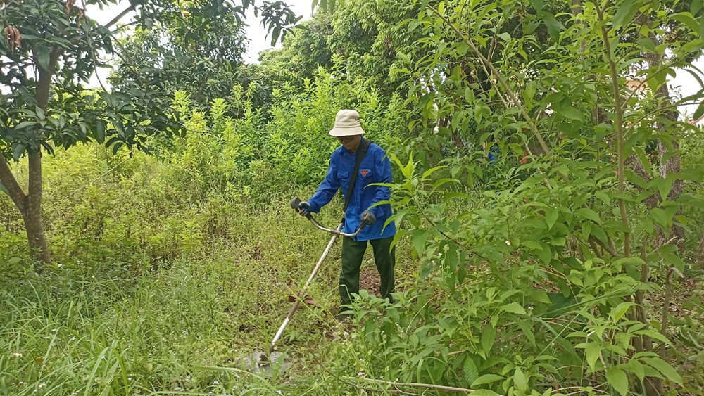 Gã “khùng” và hành trình gieo nét đẹp cho quê hương - ảnh 4