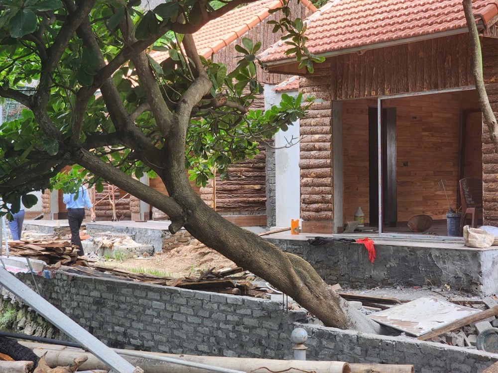 Ninh Bình: Phát hiện 11 trường hợp vi phạm trong Di sản Tràng An - ảnh 1