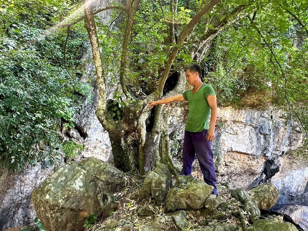 Ninh Bình: Khám phá “dải ngân hà trong động” giữa Di sản Tràng An - ảnh 3