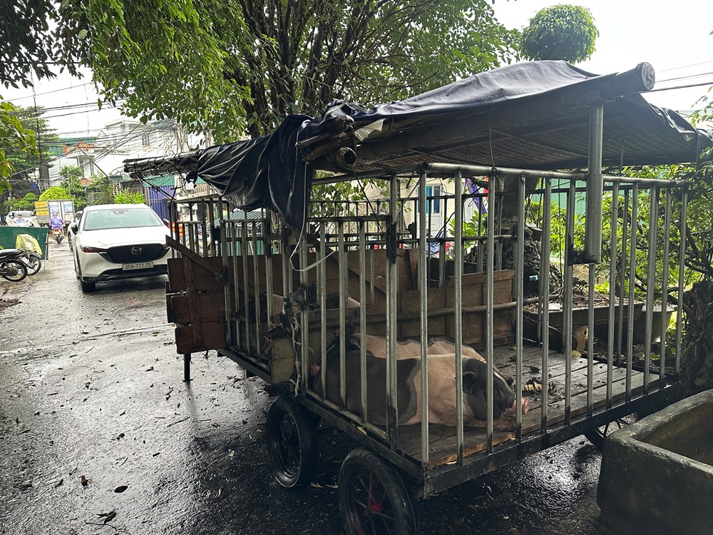 Ninh Bình: Nhiều khu vực bị ngập do mưa lũ - ảnh 4