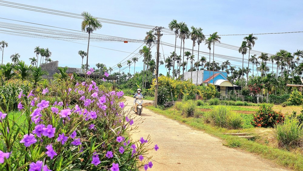 Phát triển du lịch cộng đồng ở Đức Lợi hướng đến mục tiêu giảm nghèo bền vững - ảnh 8