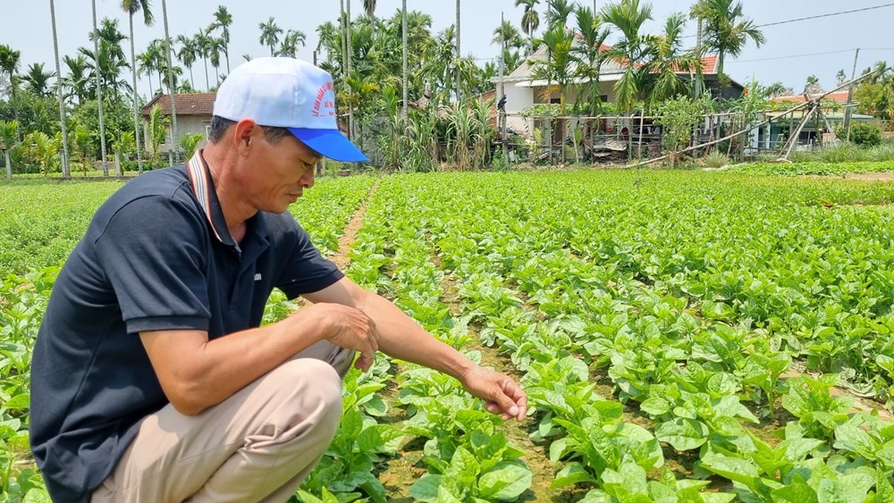 Phát triển du lịch cộng đồng ở Đức Lợi hướng đến mục tiêu giảm nghèo bền vững - ảnh 7
