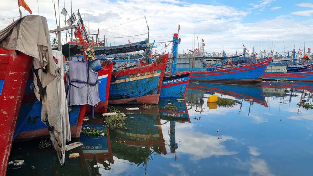Cần có giải pháp xử lý ô nhiễm môi trường ở các cảng cá - ảnh 1