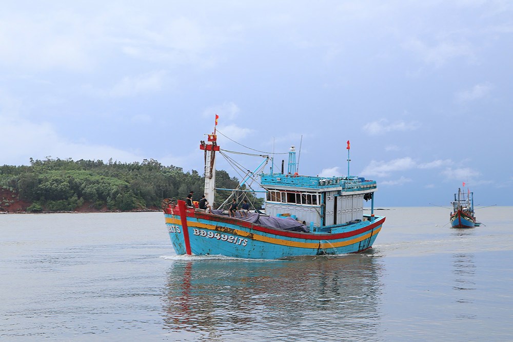 Tạm dừng hoạt động tuyến Sa Kỳ-Lý Sơn và ngược lại - ảnh 2
