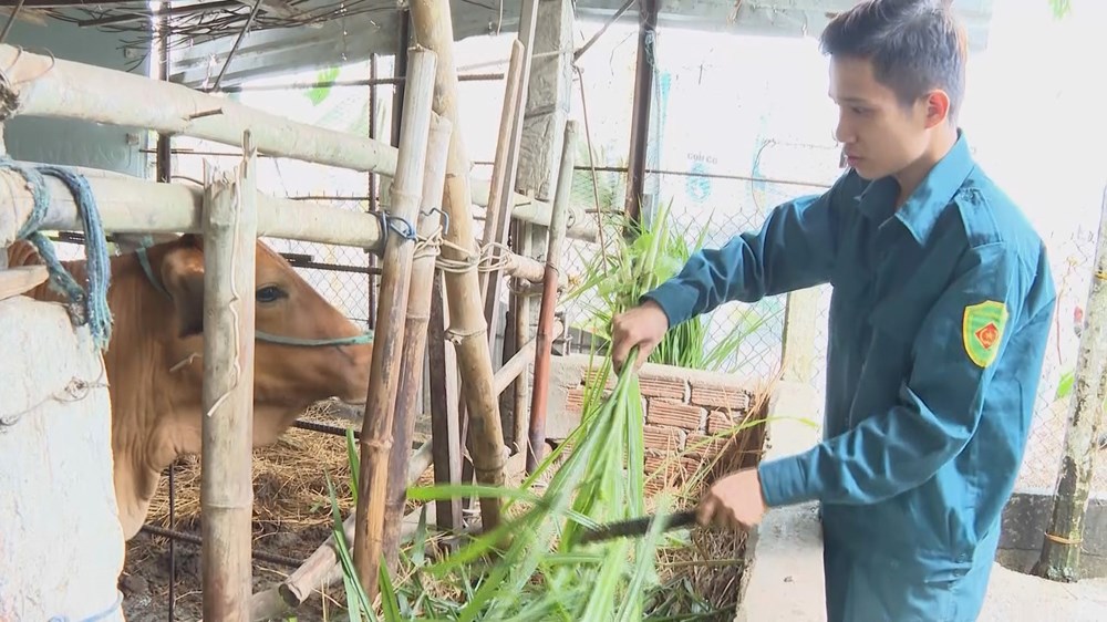 Chiến sĩ sao vuông Quảng Ngãi làm theo lời Bác - ảnh 3