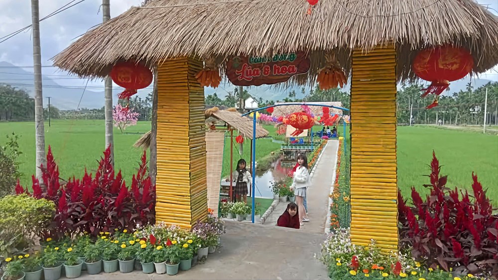 Ngập tràn không khí Xuân ở các điểm du lịch Quảng Ngãi - ảnh 2