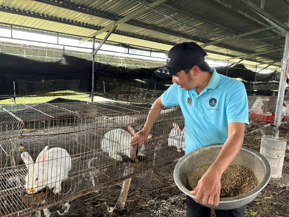 Thanh niên Quảng Ngãi với khát vọng làm giàu - ảnh 4