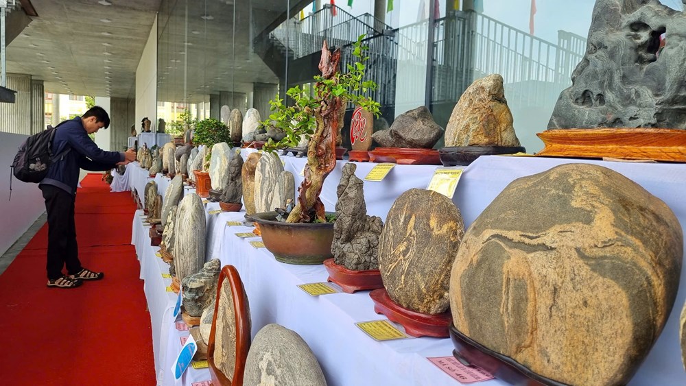 Chiêm ngưỡng không gian trưng bày đá nghệ thuật - ảnh 1