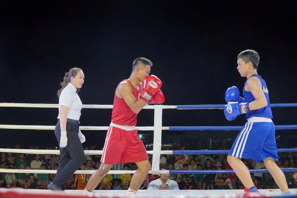 Khai mạc Giải Vô địch - Vô địch trẻ Boxing tỉnh Quảng Ngãi - ảnh 2