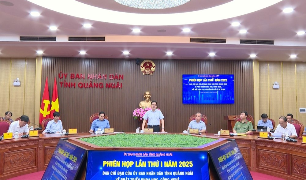 Hạ tầng số tỉnh Quảng Ngãi được đẩy mạnh đầu tư, phát triển - ảnh 1